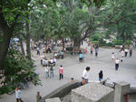 IMG_1123s.JPG