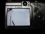IMG_0005s.JPG