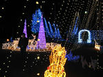 IMG_1278s.jpg