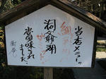 IMG_1289s.JPG