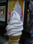 IMG_1307s.JPG