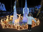 IMG_0025s.JPG