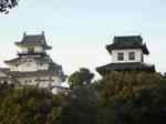 P1060043s.JPG