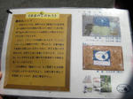 IMG_0649s.JPG