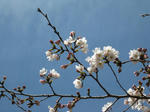 IMG_0658s.jpg