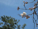 IMG_0664s.jpg