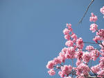 DSCN0166s.jpg