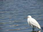 IMG_2926s.jpg