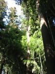 IMG_3032s.jpg