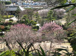 IMG_3034s.jpg