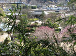 IMG_3036s.jpg