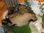 IMG_0893s.jpg