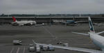IMG_1270S.JPG
