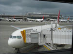 IMG_1278S.JPG