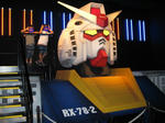IMG_2305s.jpg