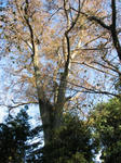 IMG_3730s.jpg
