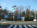 IMG_4281s.jpg