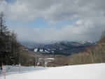 IMG_4284s.jpg