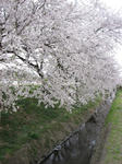 IMG_4080s.jpg