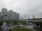 IMG_4694s.jpg