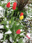 IMG_4706s.jpg