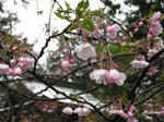 IMG_4708s.jpg