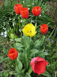 IMG_4713s.jpg