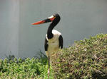 IMG_4123.JPG