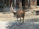 IMG_4139.JPG