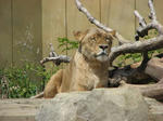 IMG_4167.JPG