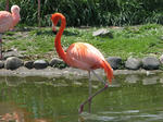 IMG_4180.JPG