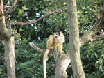 IMG_4311.JPG