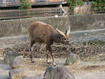 IMG_4312.JPG