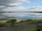 IMG_5242s.jpg