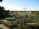 IMG_5408s.jpg