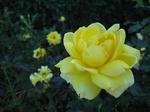 IMG_5377s.jpg