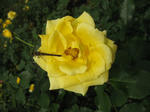 IMG_5453s.JPG