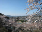 IMG_1429.JPG