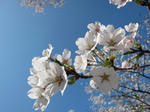 IMG_1437.JPG