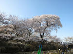 IMG_1451.JPG