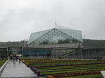IMG_1667.JPG