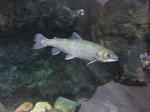 IMG_1677.JPG