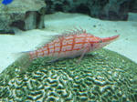 IMG_1700.JPG