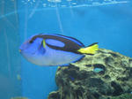 IMG_1702.JPG
