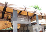 2aed9065.jpeg