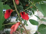 IMG_2205.JPG