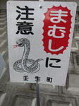 IMG_2460.JPG
