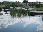 IMG_2592.JPG
