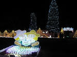 IMG_3387.JPG