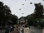 IMG_3731.JPG